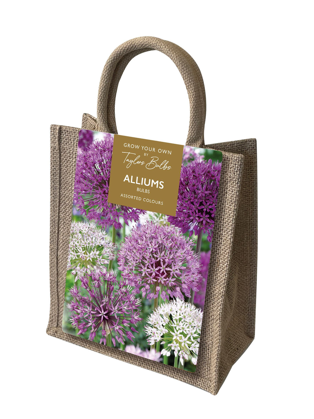 ALLIUM JUTE GIFT BAG 15