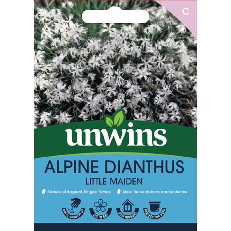 Alpine Dianthus Little Maiden
