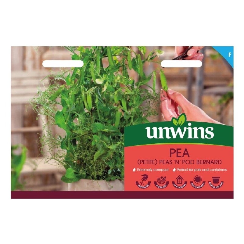 Pea (Petite) Peas N Pod Bernard