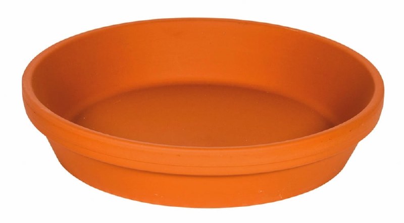 Traditional Terracotta Saucer Ø18Cm H4Cm - Pots - Windyridge Garden Centre