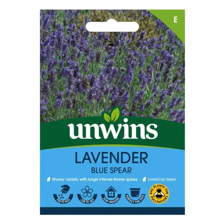 Lavender Blue Spear - Seed Packets - Windyridge Garden Centre