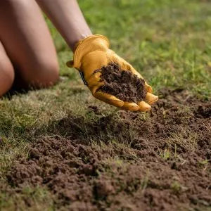 WL Lawn & Turf Dressing 25L