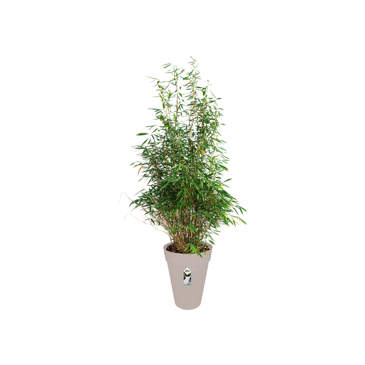 Loft Urban Round High Pot Ø35cm Warm Grey