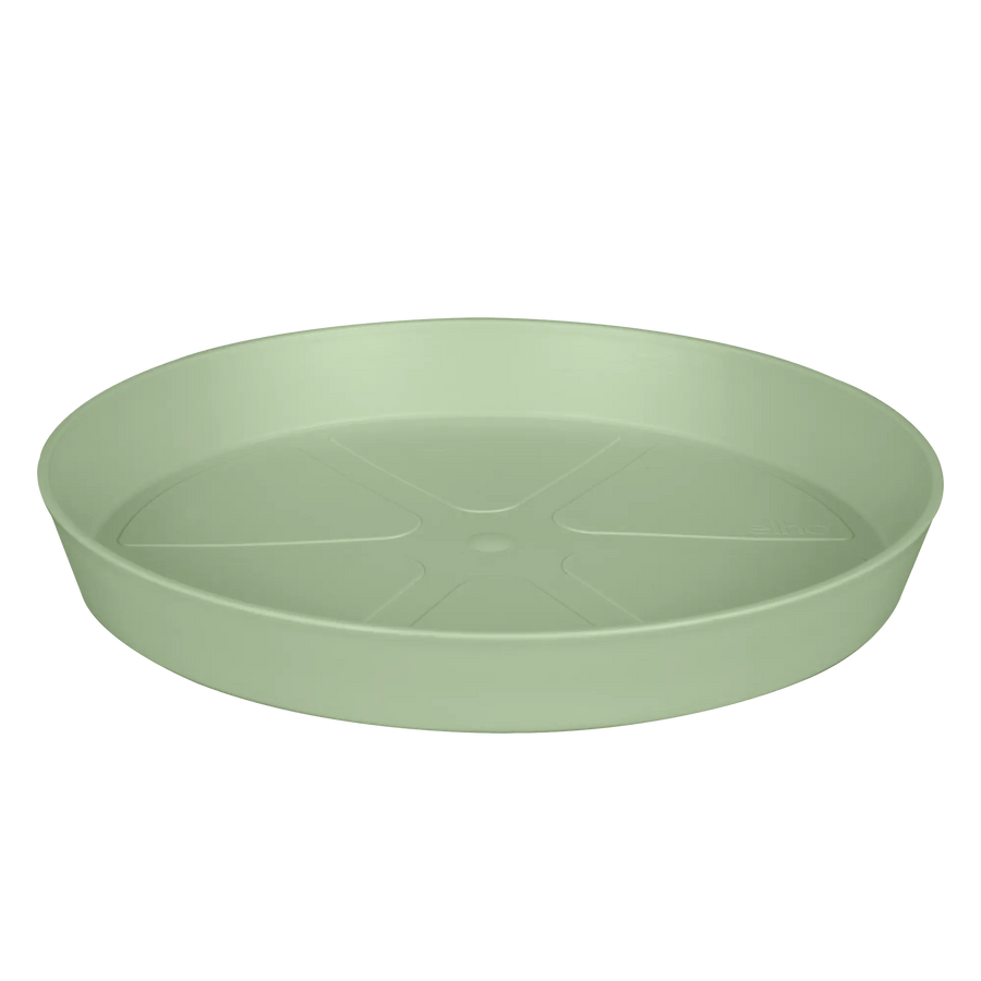 Loft Urban Saucer Round Pistachio Green Ø41Cm - Pots - Windyridge Garden Centre