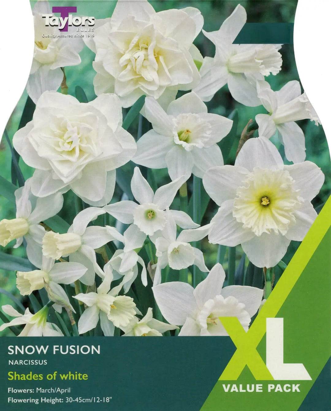 NARCISSUS SNOW FUSION 15