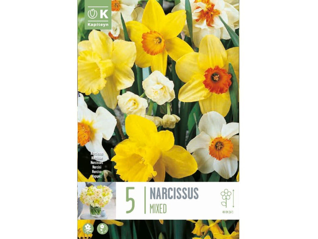 NAR FRAGRANT MIXED X 5