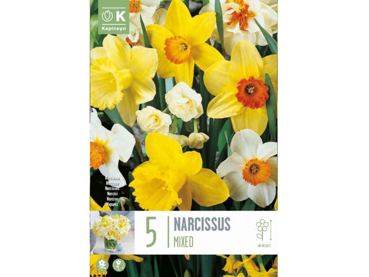 NAR FRAGRANT MIXED X 5