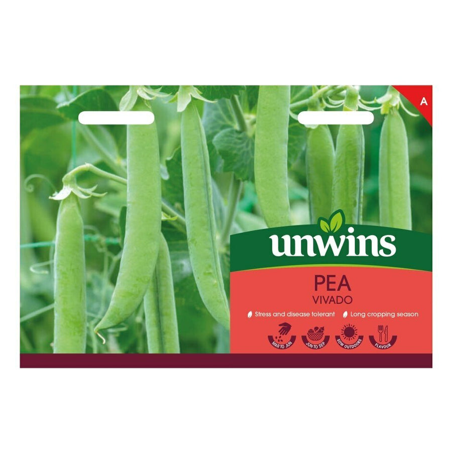 Pea (Maincrop) Vivado - Seed Packets - Windyridge Garden Centre