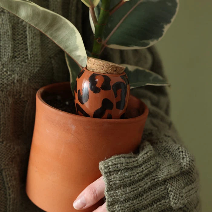 Olla Macchiato Leopard