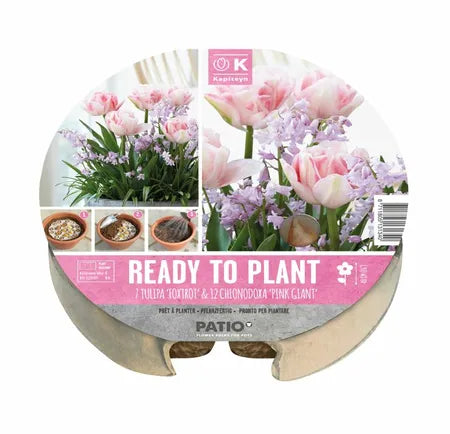 PLANT-O-MAT TULIPA & CHIONODOXA x 19