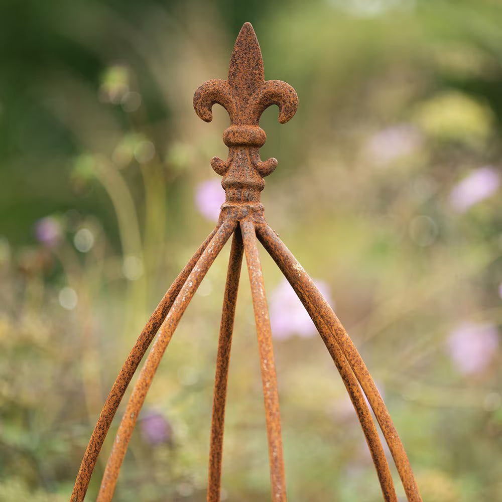 Gothic Obelisk Rust with FDL 5ft