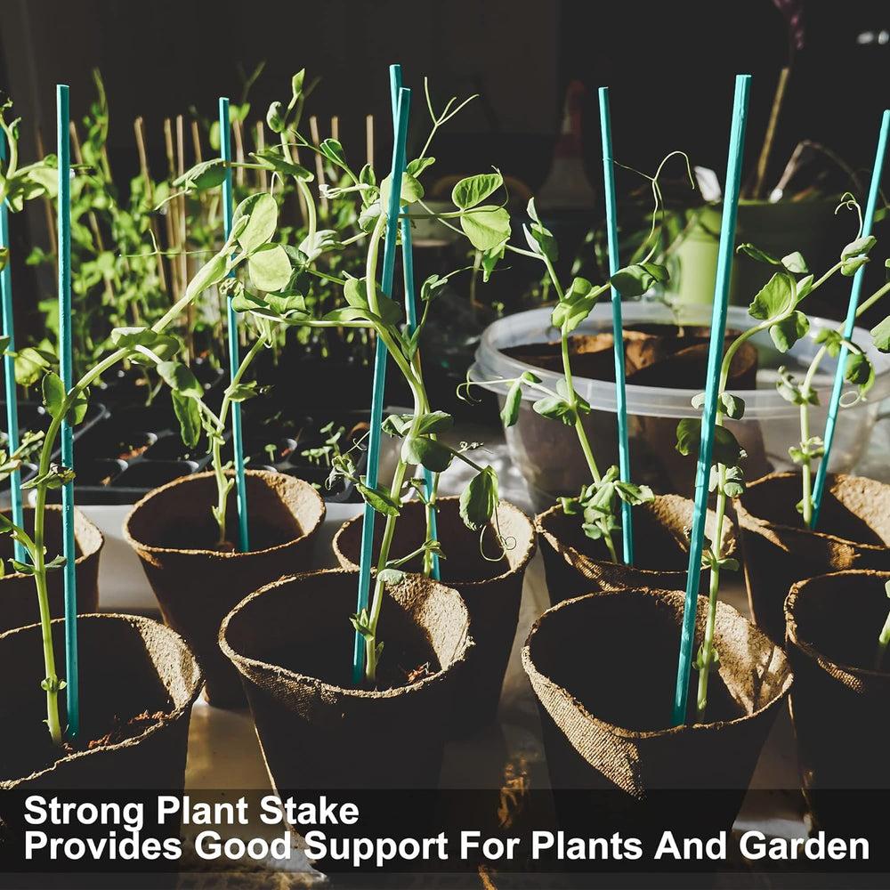 Plant Sticks 60Cm (25Pk) - Tools & Equipment - Windyridge Garden Centre