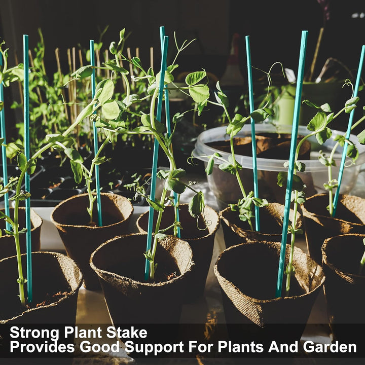 Plant Sticks 60Cm (25Pk) - Tools & Equipment - Windyridge Garden Centre