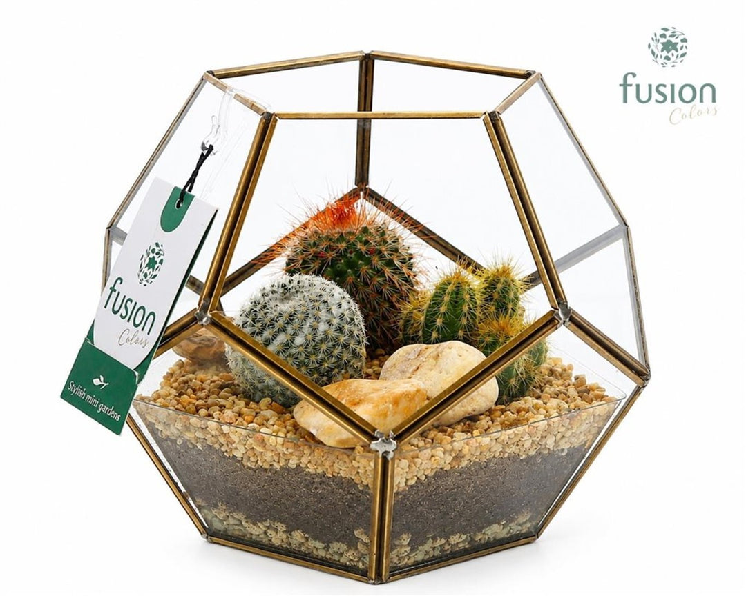 Cactus arrangement 19 cm glass pot