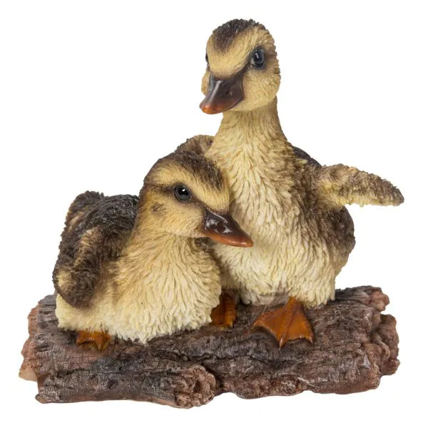 Playful Ducklings D