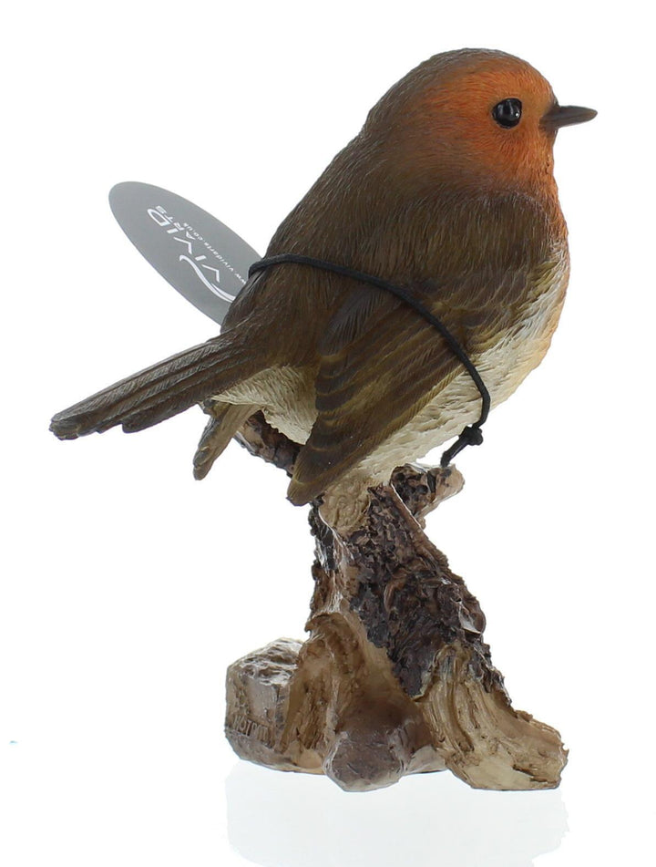 WBC Robin F