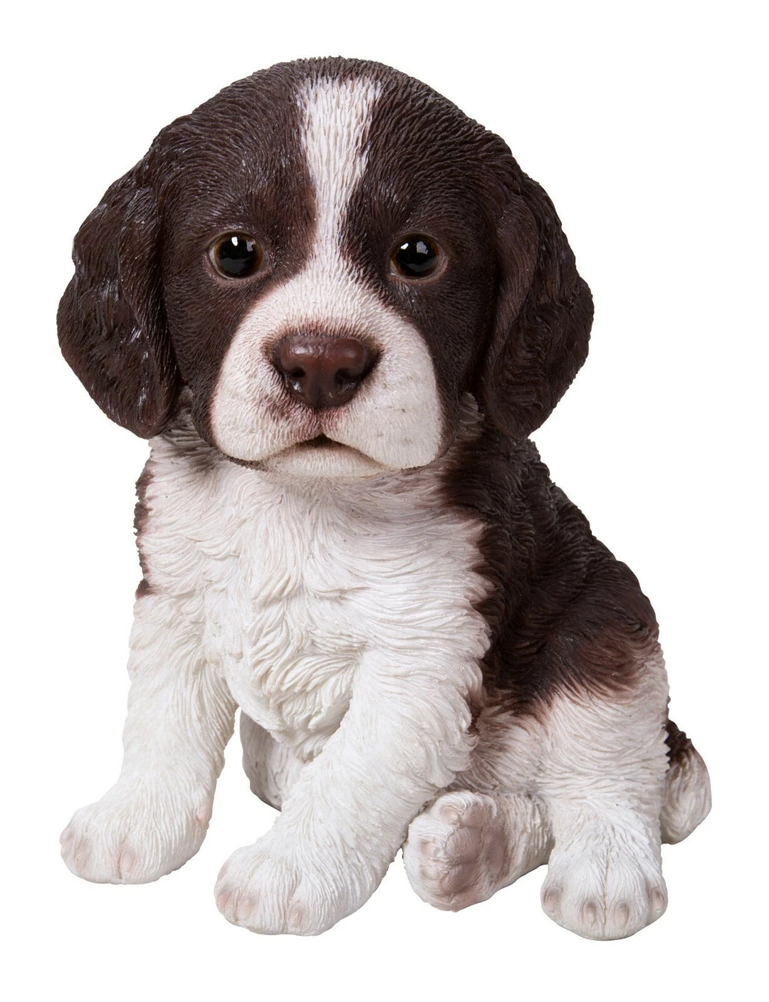 PP Springer Spaniel Pup F