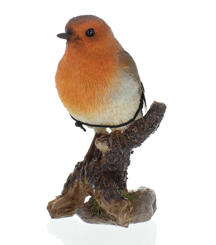 WBC Robin F