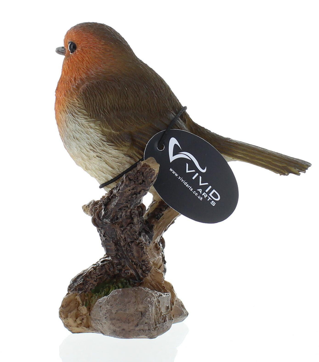 WBC Robin F