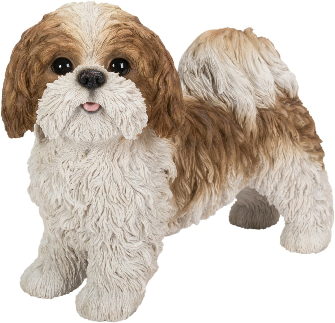 RL Shih Tzu Brown Standing B
