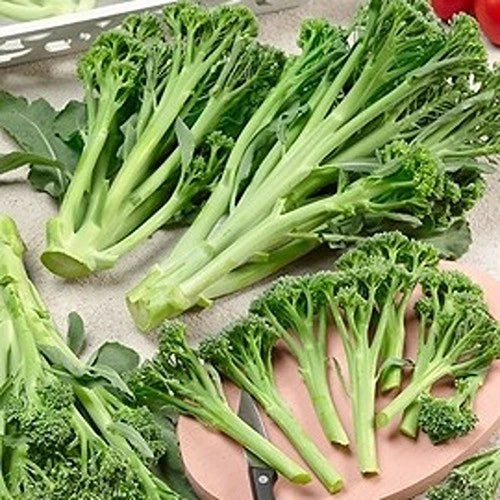 Broccoli Delistem Green - Seed Packets - Windyridge Garden Centre