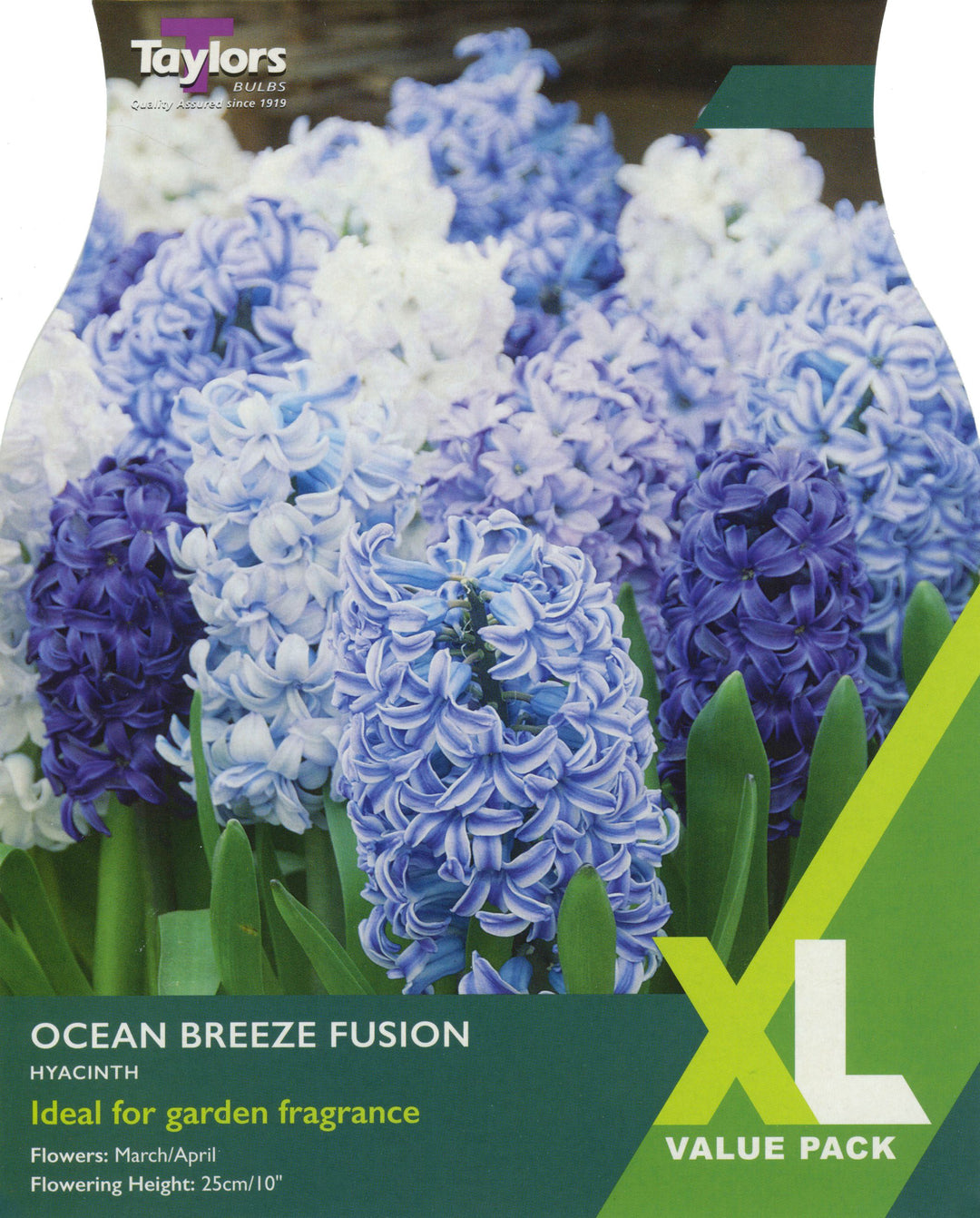 HYACINTH OCEAN BREEZE FUSION 10