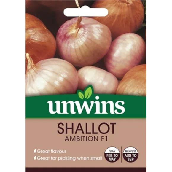 Shallot Ambition F1