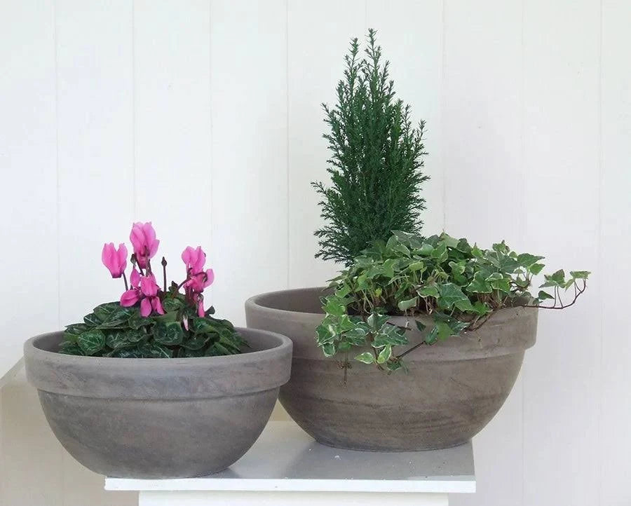 Basalt Bowl Levy Pot Ø23Cm H11 - Pots - Windyridge Garden Centre
