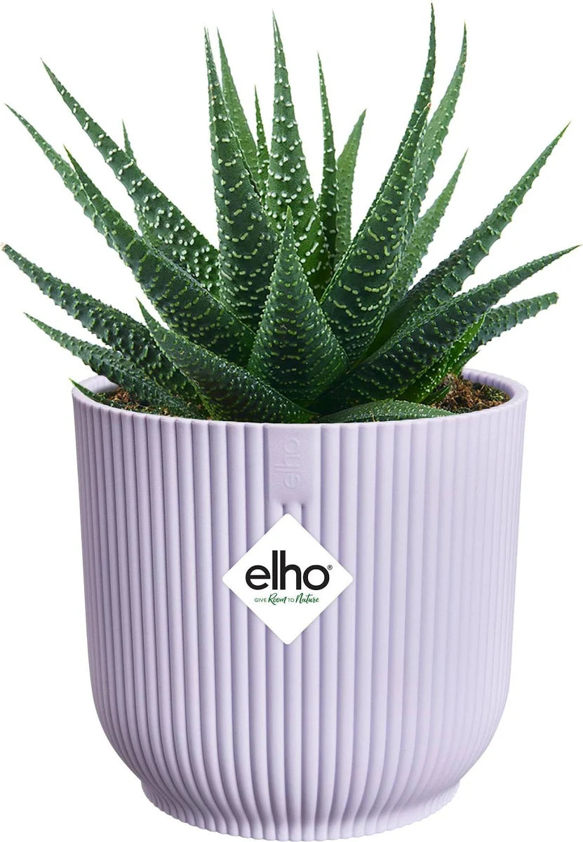 Vibes Fold Round Mini Soft Lilac Ø11Cm - Pots - Windyridge Garden Centre