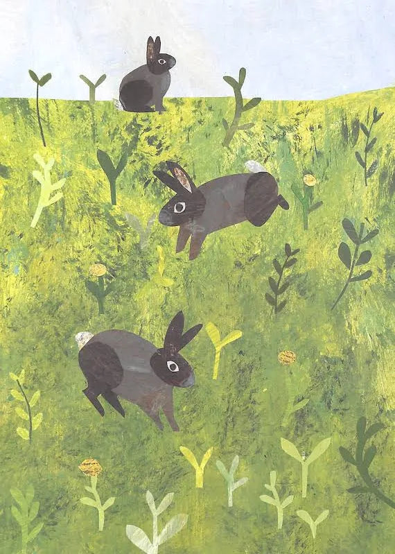 A Walk Through Nature - Books And Magazines - Windyridge Garden Centre