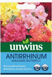Antirrhinum Madame Butterfly