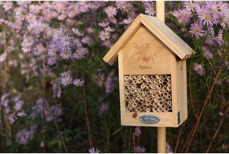 Bee House Silhouette - Bird Care And Wildlife - Windyridge Garden Centre