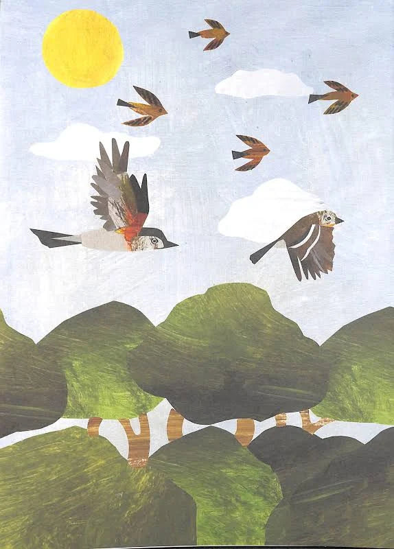 A Walk Through Nature - Books And Magazines - Windyridge Garden Centre