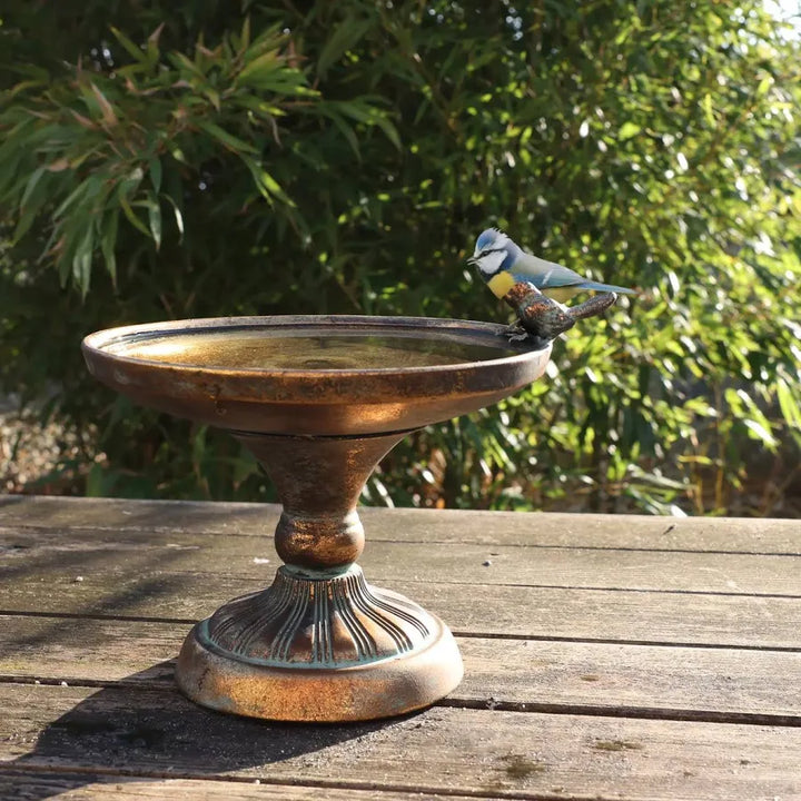 Aged Metal Bird Bath L - Bird Care And Wildlife - Windyridge Garden Centre