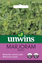 Herb Marjoram Sweet