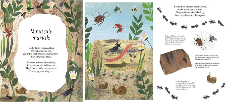 A Walk Through Nature - Books And Magazines - Windyridge Garden Centre