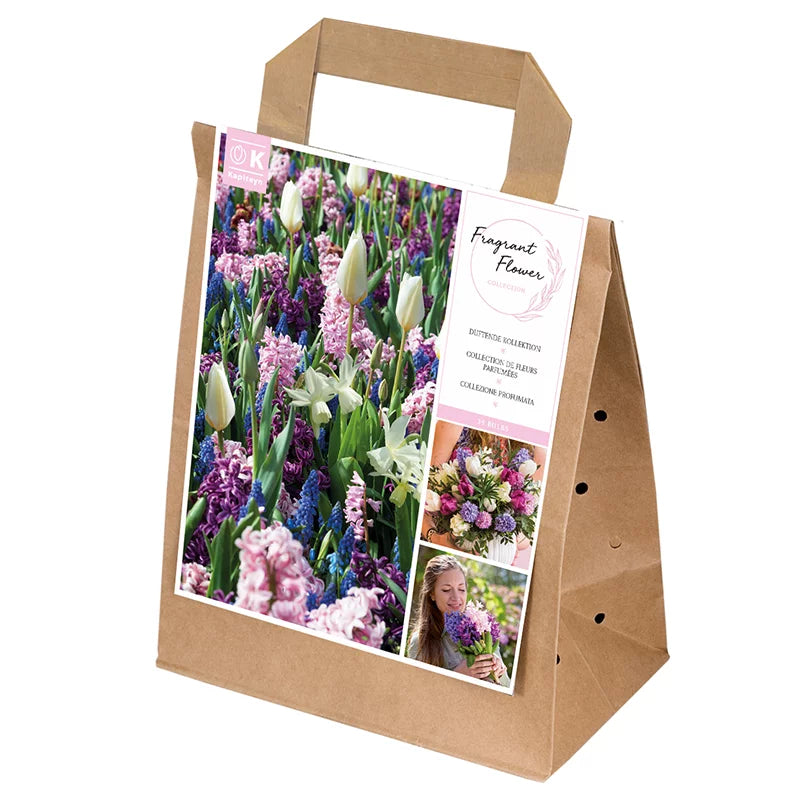 SPRING COLLECTION RELAXING FRAGRANCES x 30