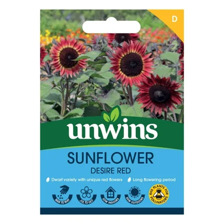 Sunflower Desire Red - Seed Packets - Windyridge Garden Centre