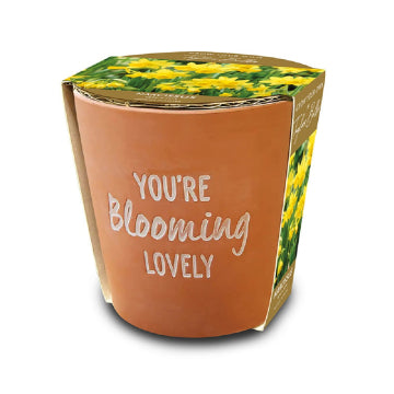 Blooming Lovely Teracotta Pot 5