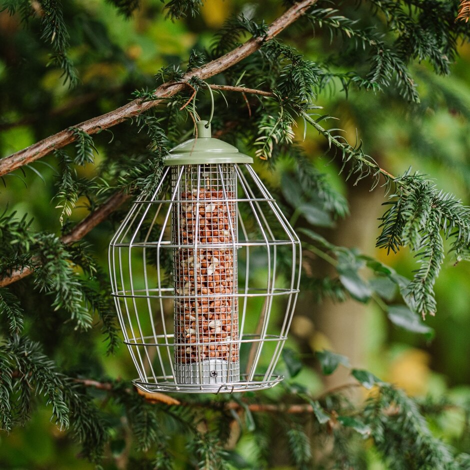 Peckish Canto SP Peanut Feeder