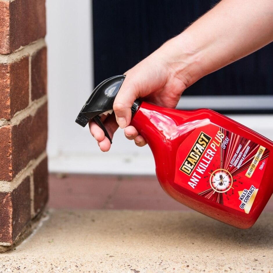 Deadfast Ant Killer Plus Spray 750Ml - Ferts And Chemicals - Windyridge Garden Centre