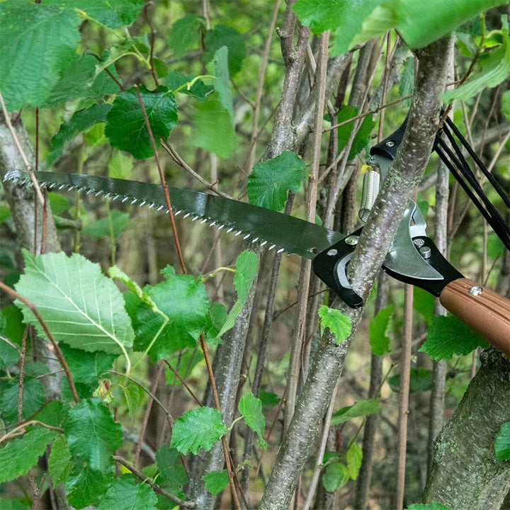 K&S Telescopic Tree Lopper 3M - Tools & Equipment - Windyridge Garden Centre