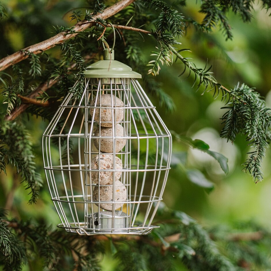 Peckish Canto SP Energy Ball Feeder