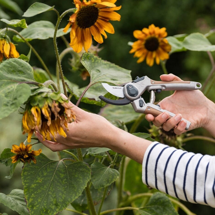 Bypass Secateurs 6.5 Garden Life