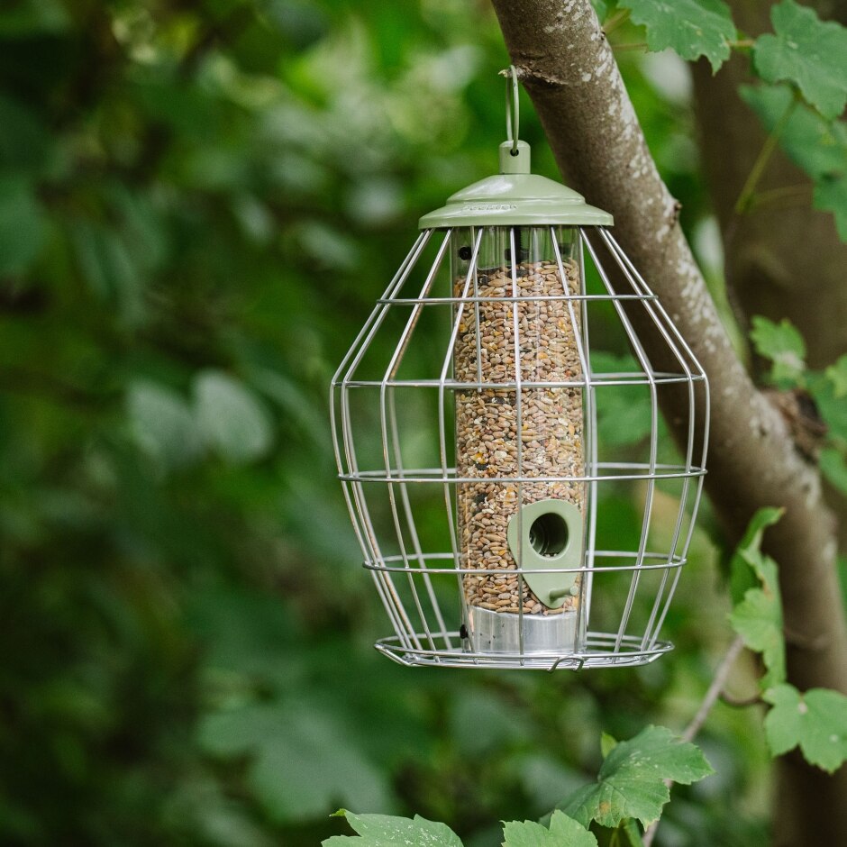 Peckish Canto SP Seed Feeder