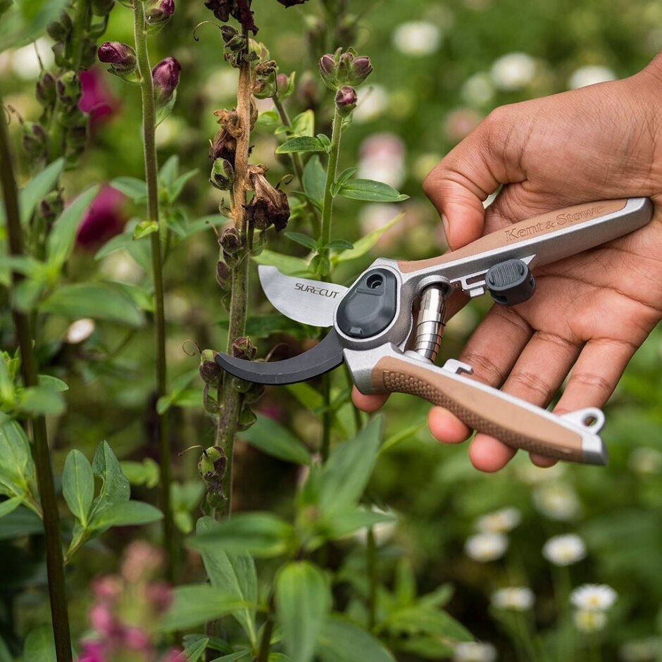 Bypass Secateurs 6.5 Garden Life