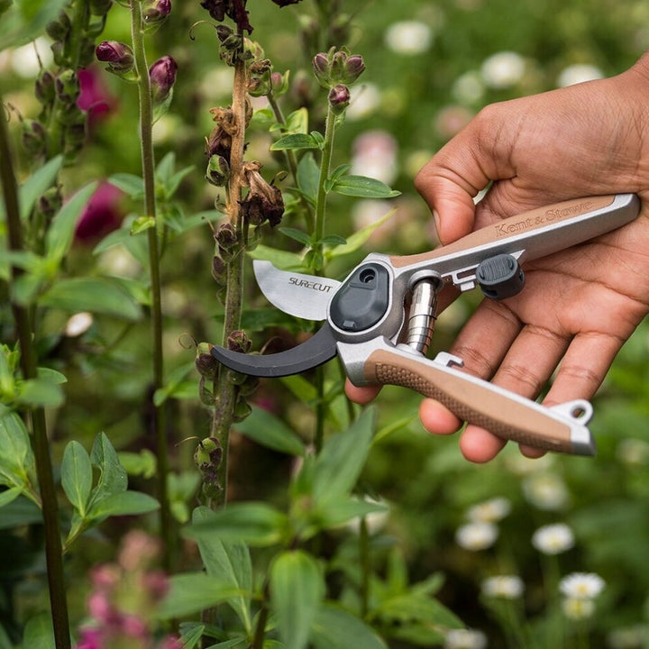 Bypass Secateurs 6.5 Garden Life