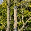 PK All Weather Giant Seed Feeder