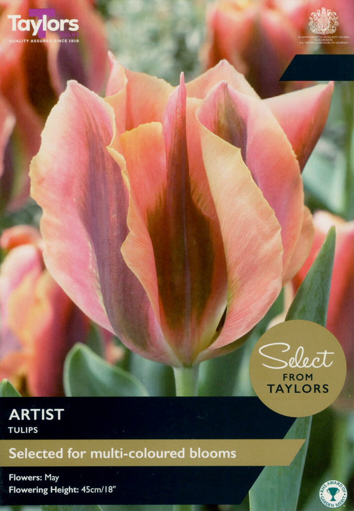 TULIP ARTIST 7