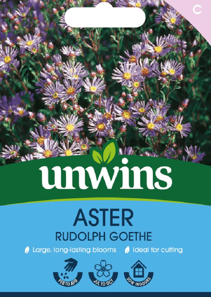 Aster Rudolph Goetheflower - Seed Packets - Windyridge Garden Centre